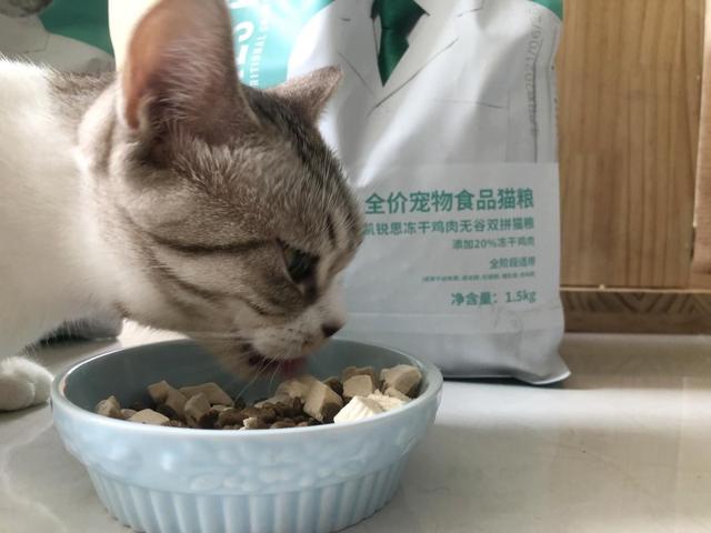 幼猫巅峰猫粮测评推荐 从凯锐思冻干鸡肉无谷双拼猫粮开始